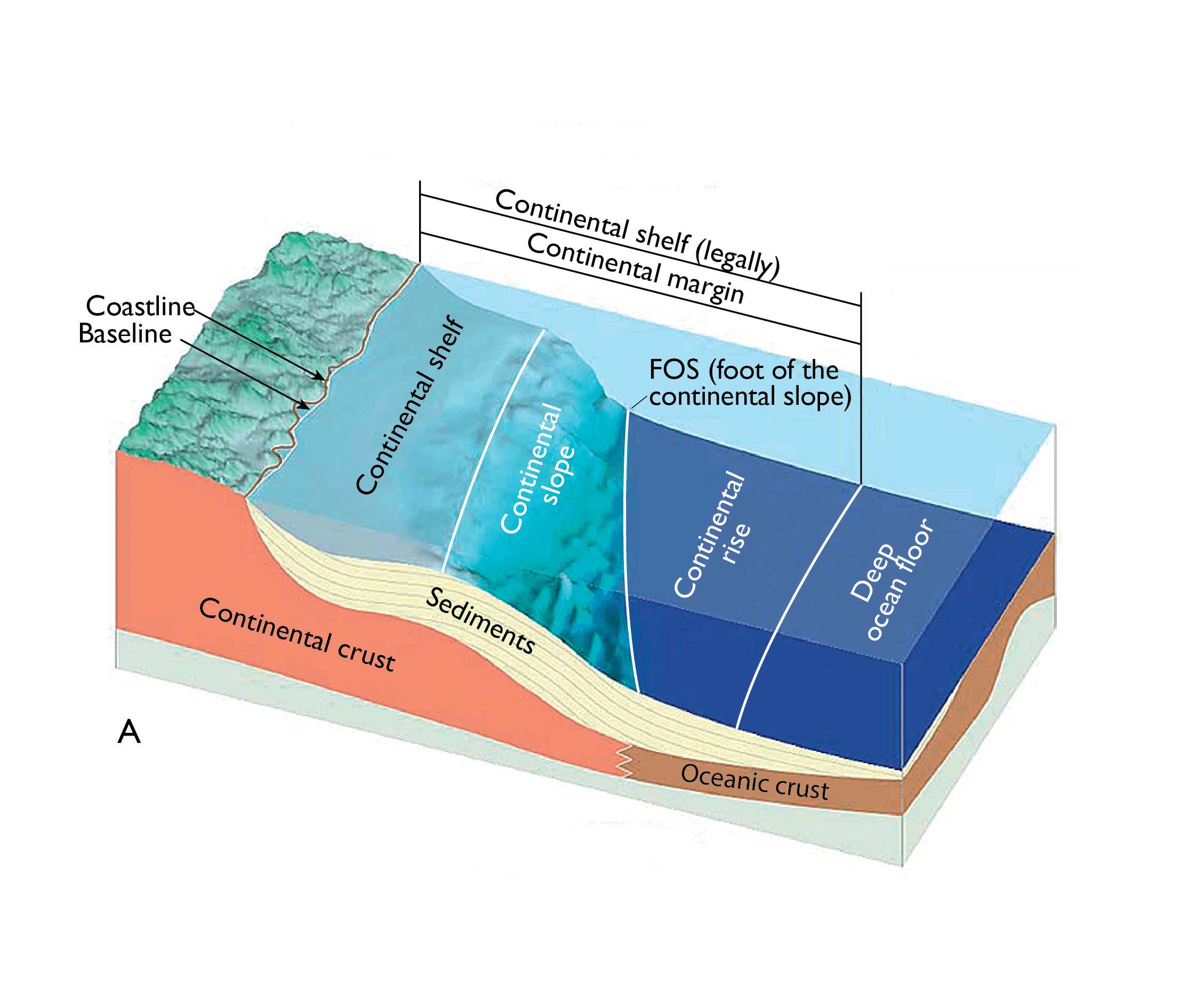 Continental Slope And Shelf Diagram